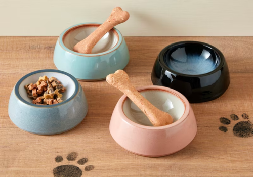 Dog Bowls