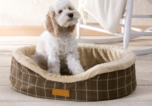 Dog Bed